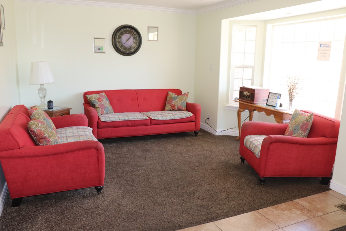 Garden or outdoor area.