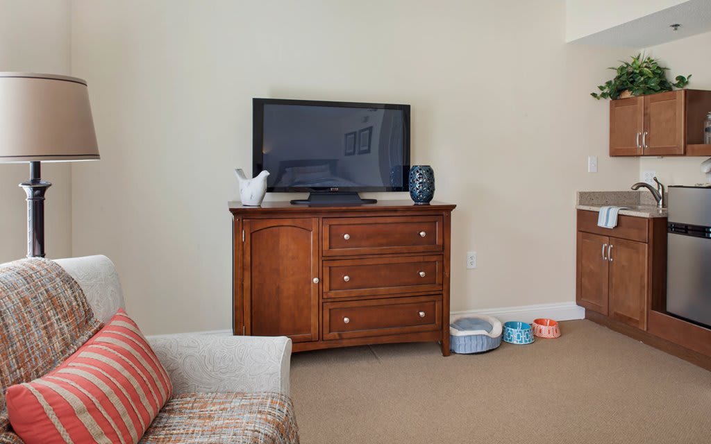 A living room with a TV on a wooden drawer and dog bowls on the floor.