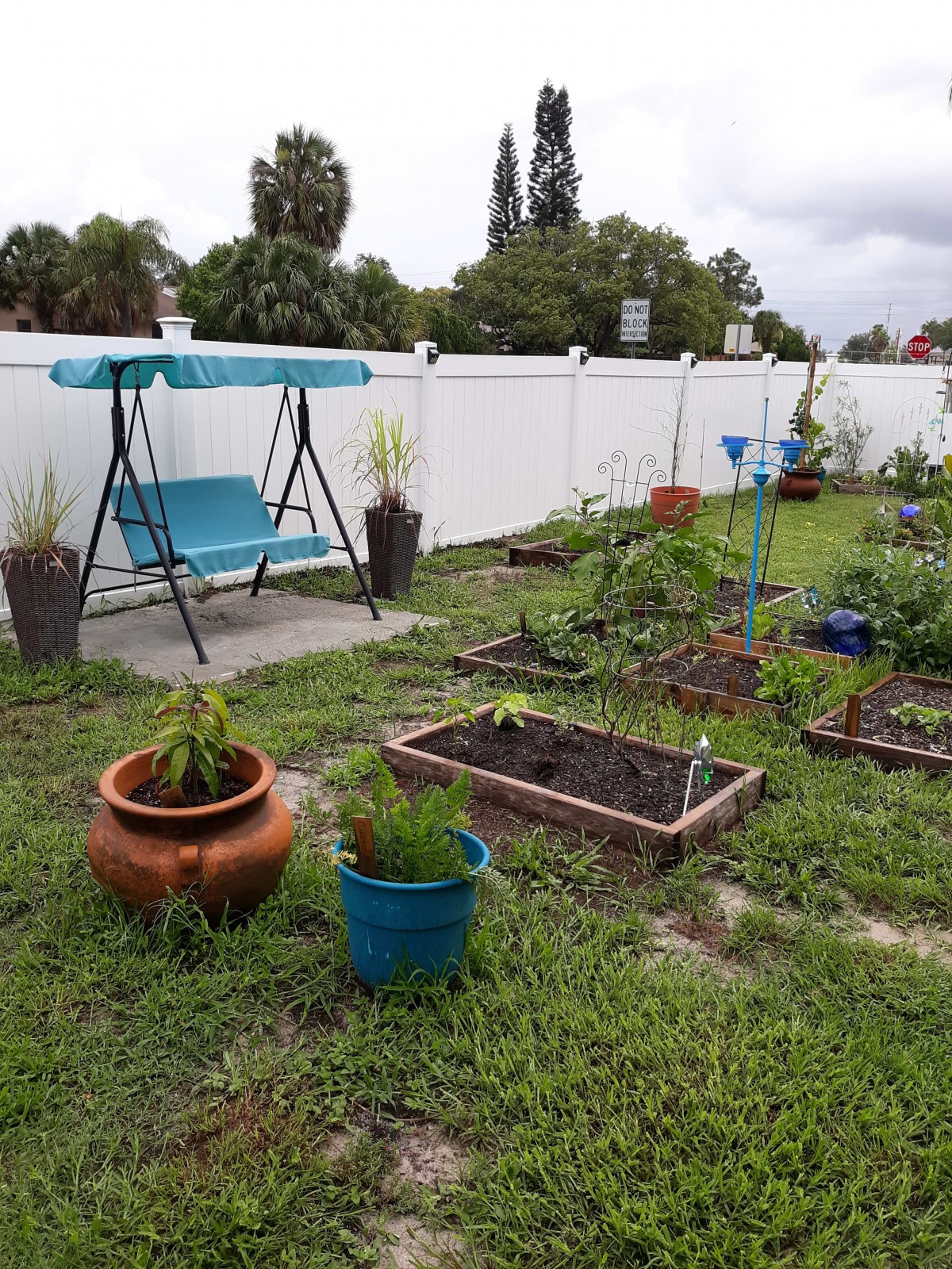 A peaceful backyard garden with a variety of plants and a swing chair.