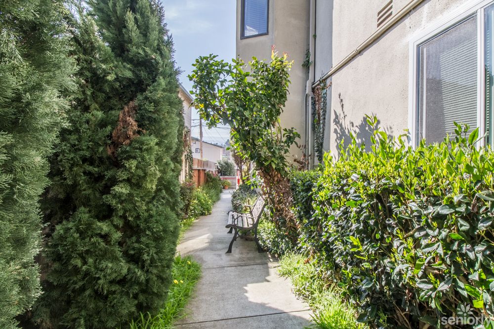 A serene garden walkway with a bench surrounded by lush greenery.