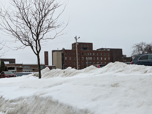 A snowy urban landscape with a barren tree and buildings in the background under a gray sky.
