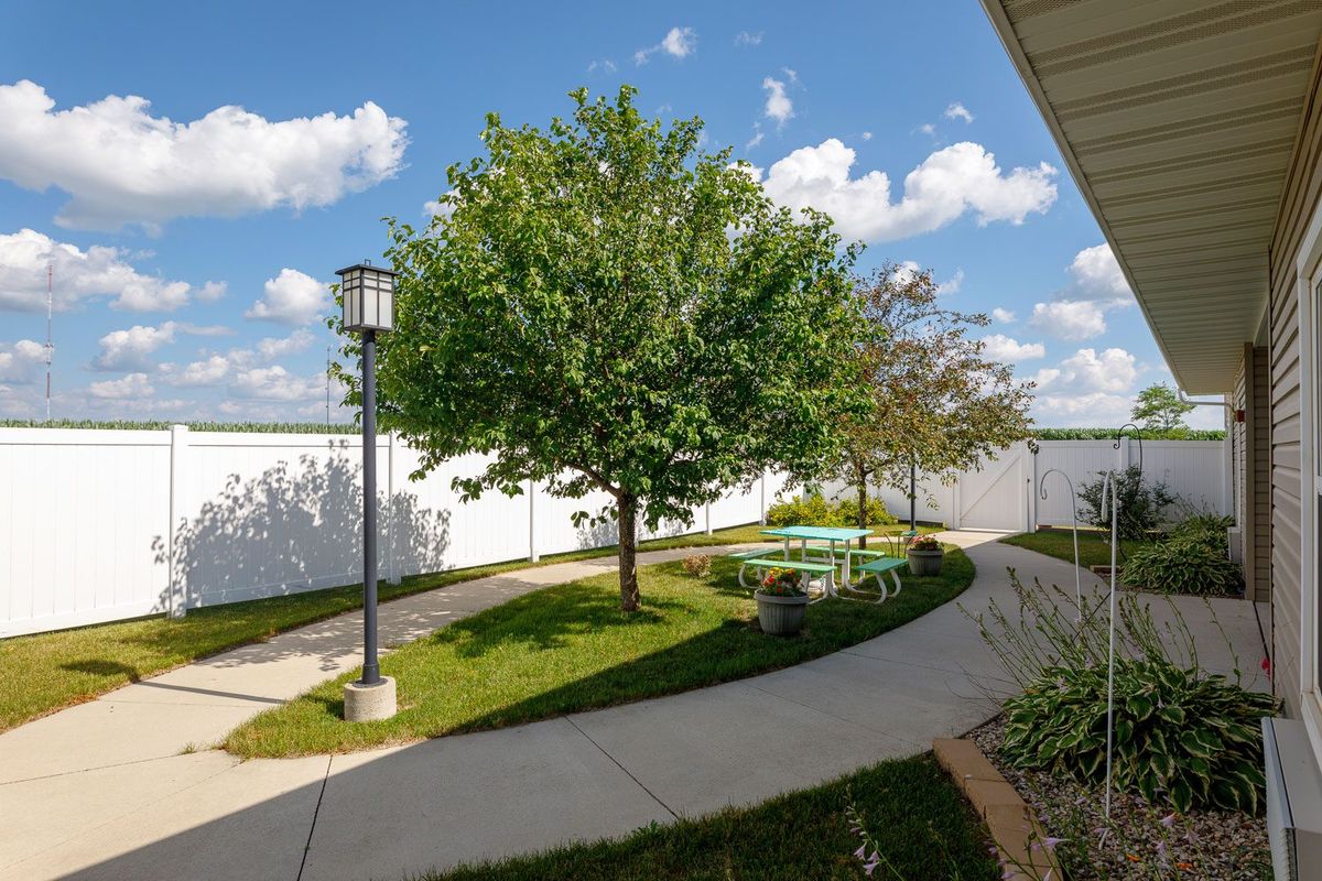 A peaceful outdoor area with a pathway winding around a tree and benches under a clear blue sky.