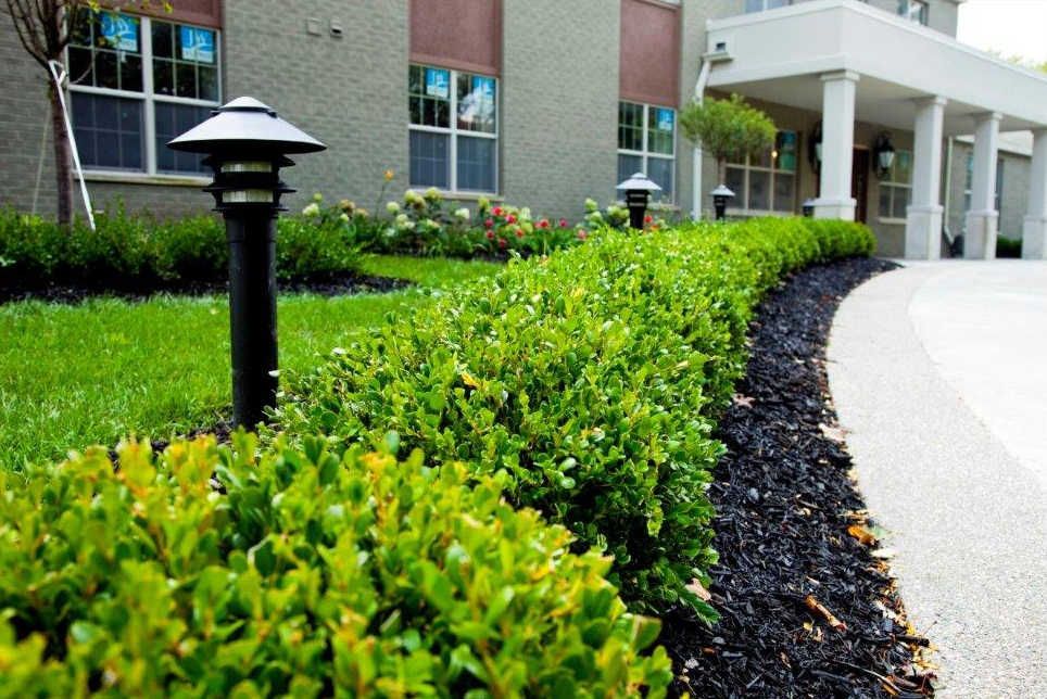 A beautifully landscaped pathway lined with green bushes and outdoor lighting fixtures, alongside a building exterior.