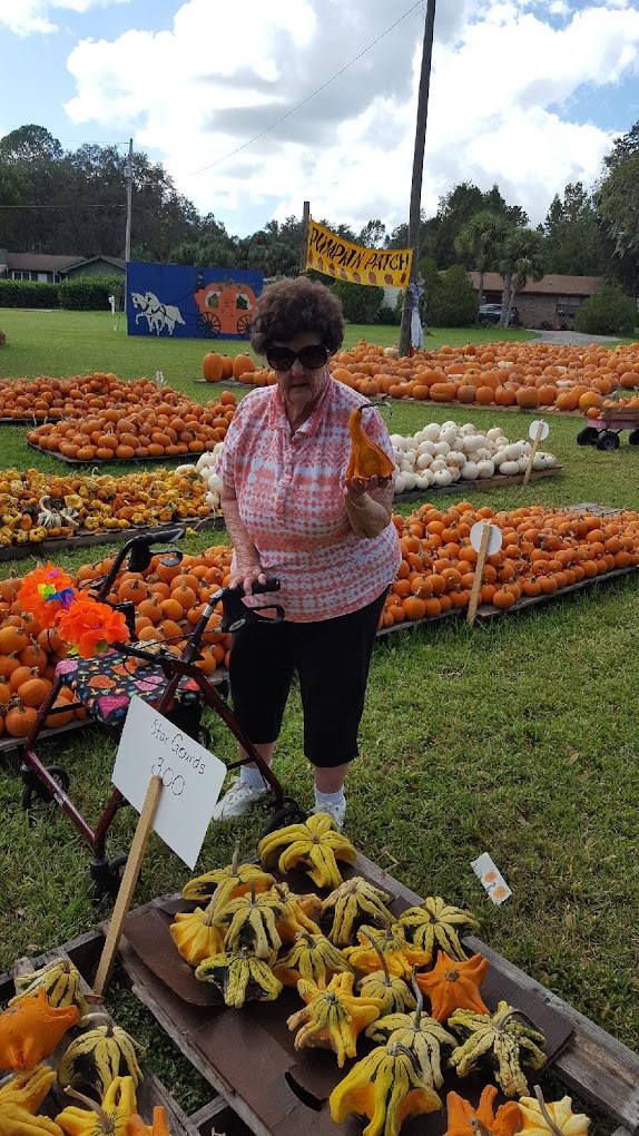 A woman browsing pumpkins at an outdoor pumpkin patch festival.