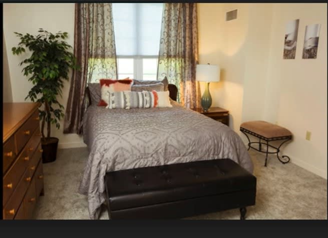 A cozy bedroom with a neatly made bed, patterned curtains, and a bedside lamp.