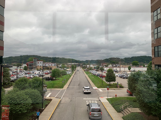 A view of a quiet road lined with greenery, leading towards distant hills under a cloudy sky.