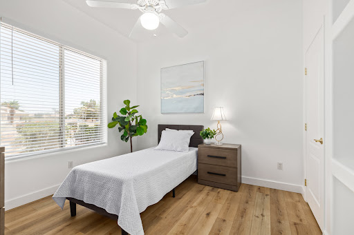 A bright and minimalist bedroom featuring a single bed, wooden flooring, and a touch of greenery.