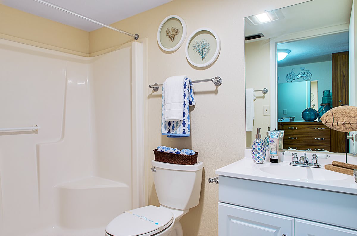 A well-organized bathroom with modern fixtures and decorative elements.