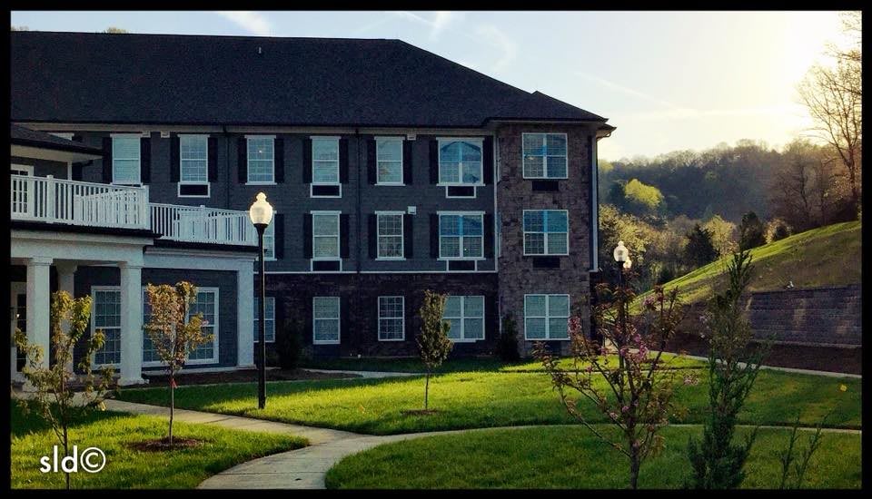 A residential apartment building with well-maintained green lawns and young trees lining a paved pathway.