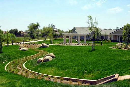 A serene outdoor park featuring lush green grass, a variety of trees, and a building in the background, perfect for relaxation and recreation.
