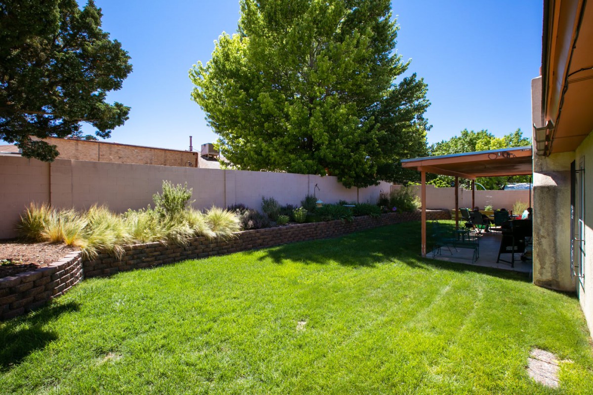 A sunny backyard with a well-maintained lawn, tree, and patio area.