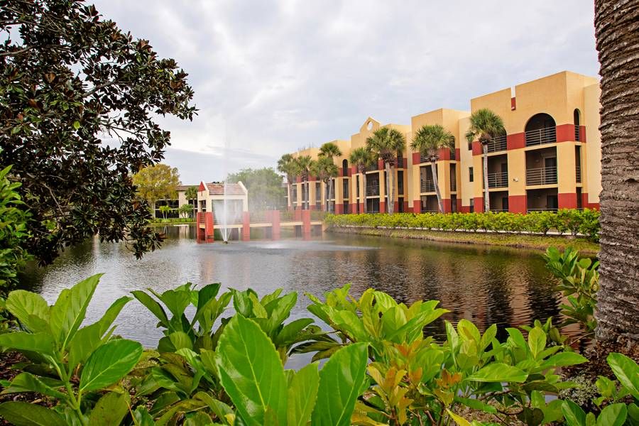 A serene view of a resort with a fountain by the water and lush greenery.