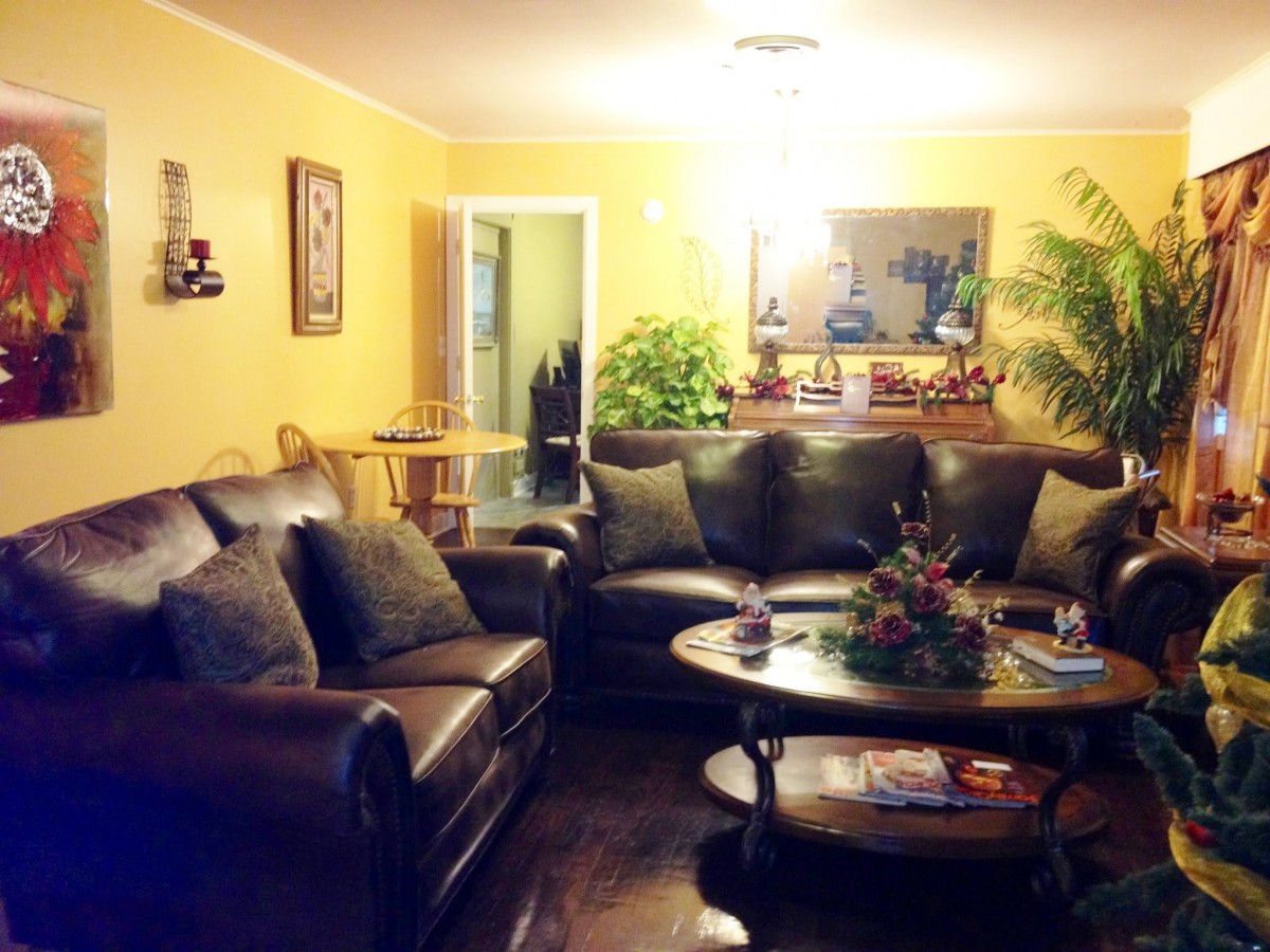 A cozy living room with a large leather sofa set, a round coffee table, and lush indoor plants enhancing the warm ambiance.