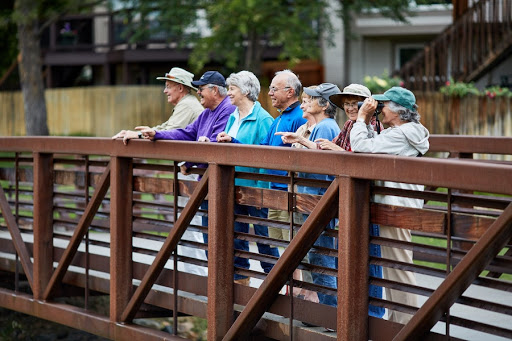 A group of senior citizens enjoying a day out on a bridge, taking in the views.