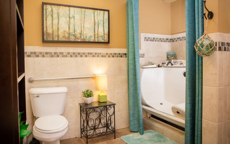 A cozy bathroom with a white toilet, walk-in bathtub, teal shower curtain, and decorative elements like artwork and a small plant.