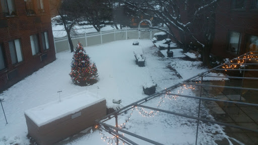 A snowy winter landscape featuring a decorated Christmas tree in the yard.