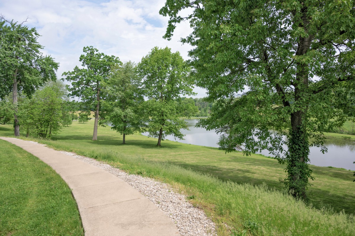 A scenic pathway through a lush park with trees and a view of a lake.