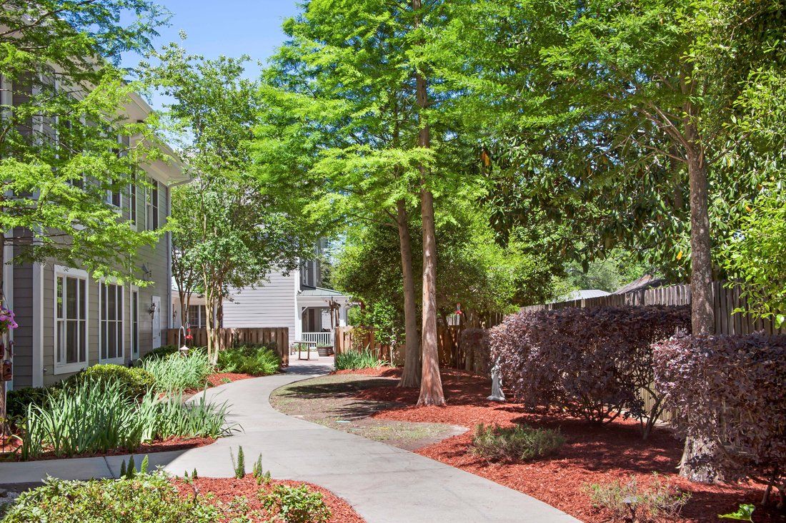 A serene pathway lined with trees and well-maintained landscaping leading to residential apartments.