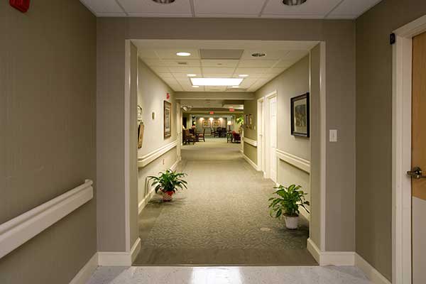 A well-lit hallway with plants and framed pictures on the walls.