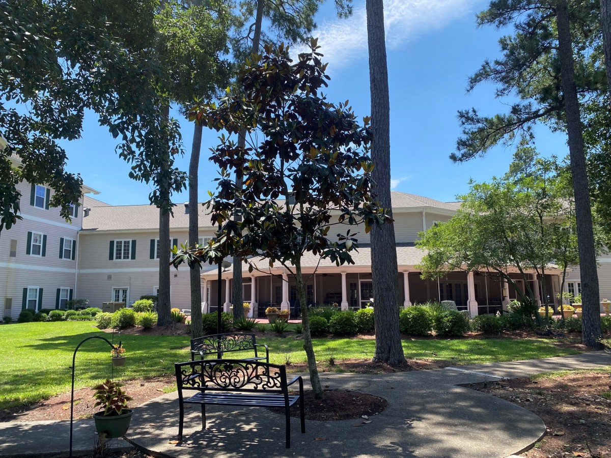 A serene outdoor area with a bench, trees, and a building in the background under a clear blue sky.
