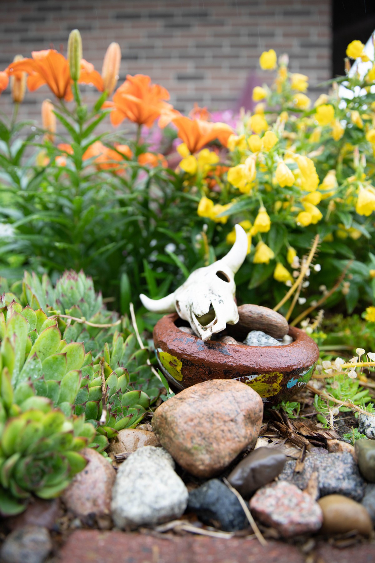 A garden scene featuring a small animal skull among vibrant flowers and rocks.