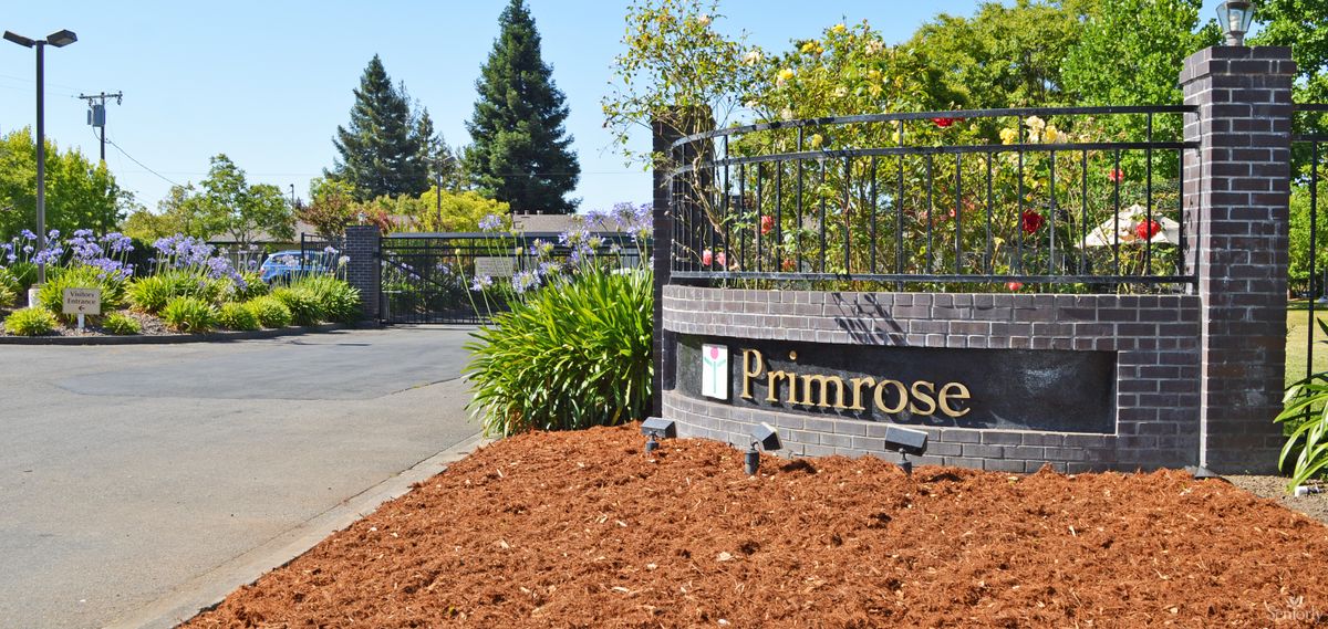 Entrance sign of Primrose surrounded by landscaped plants.