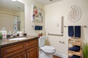 A well-appointed bathroom with a wooden vanity, wall art, and safety grab bars.