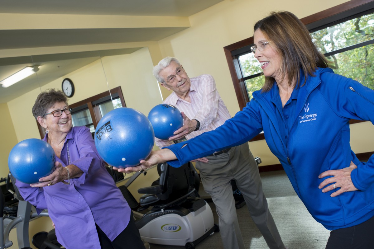 Group of seniors participating in a fitness class with exercise balls.