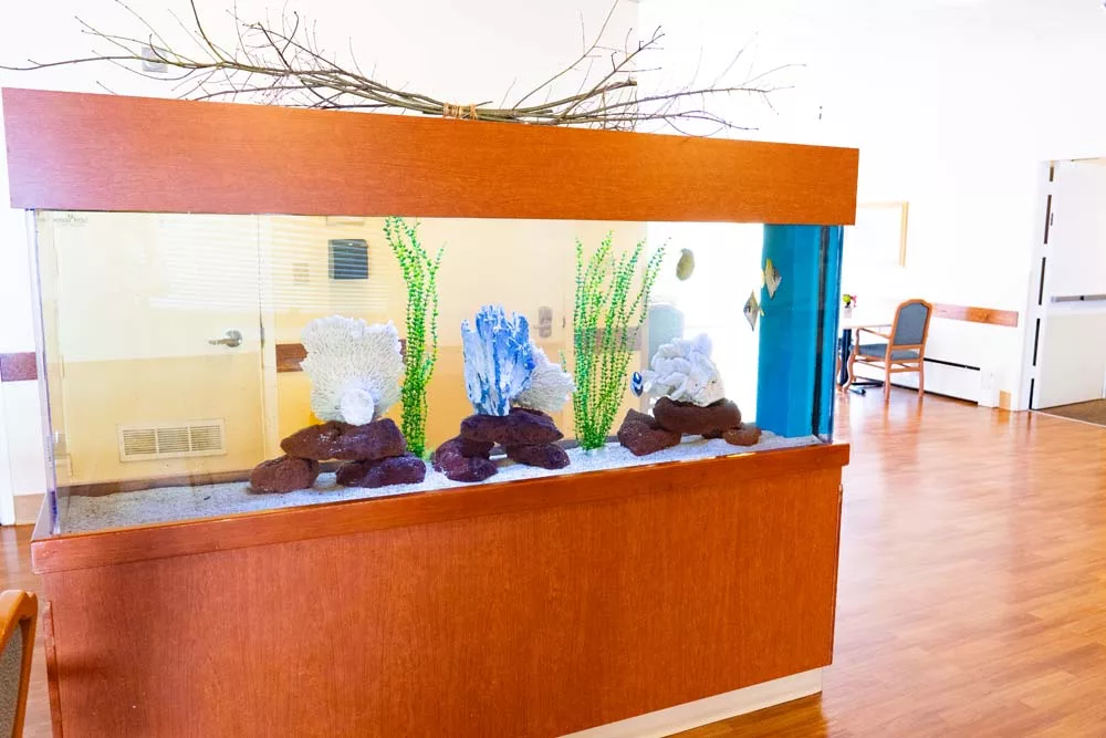 Park Ridge Skill Nursing and Rehab Center