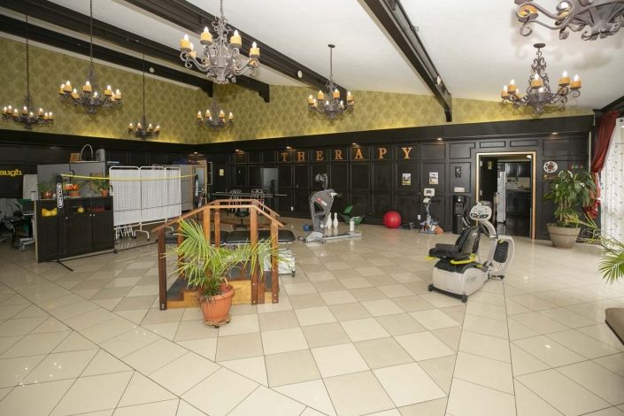 An indoor fitness center with various exercise equipment, chandeliers, and potted plants.