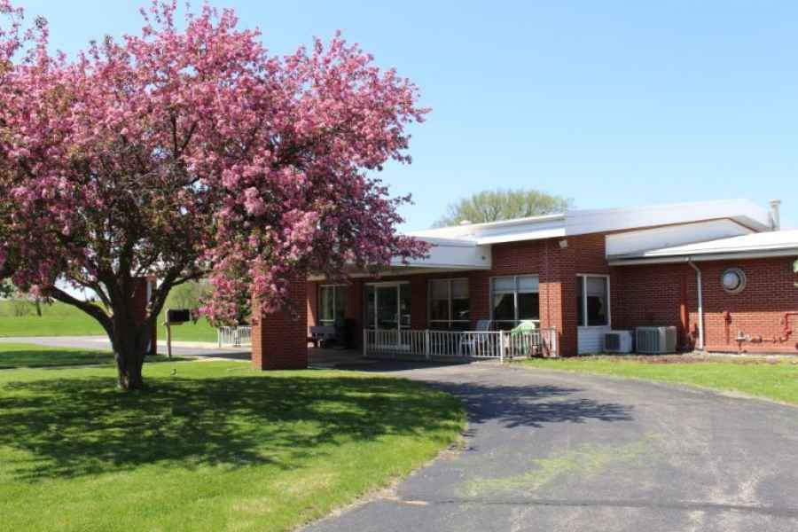 A suburban home with a blooming tree in the front yard on a sunny day.