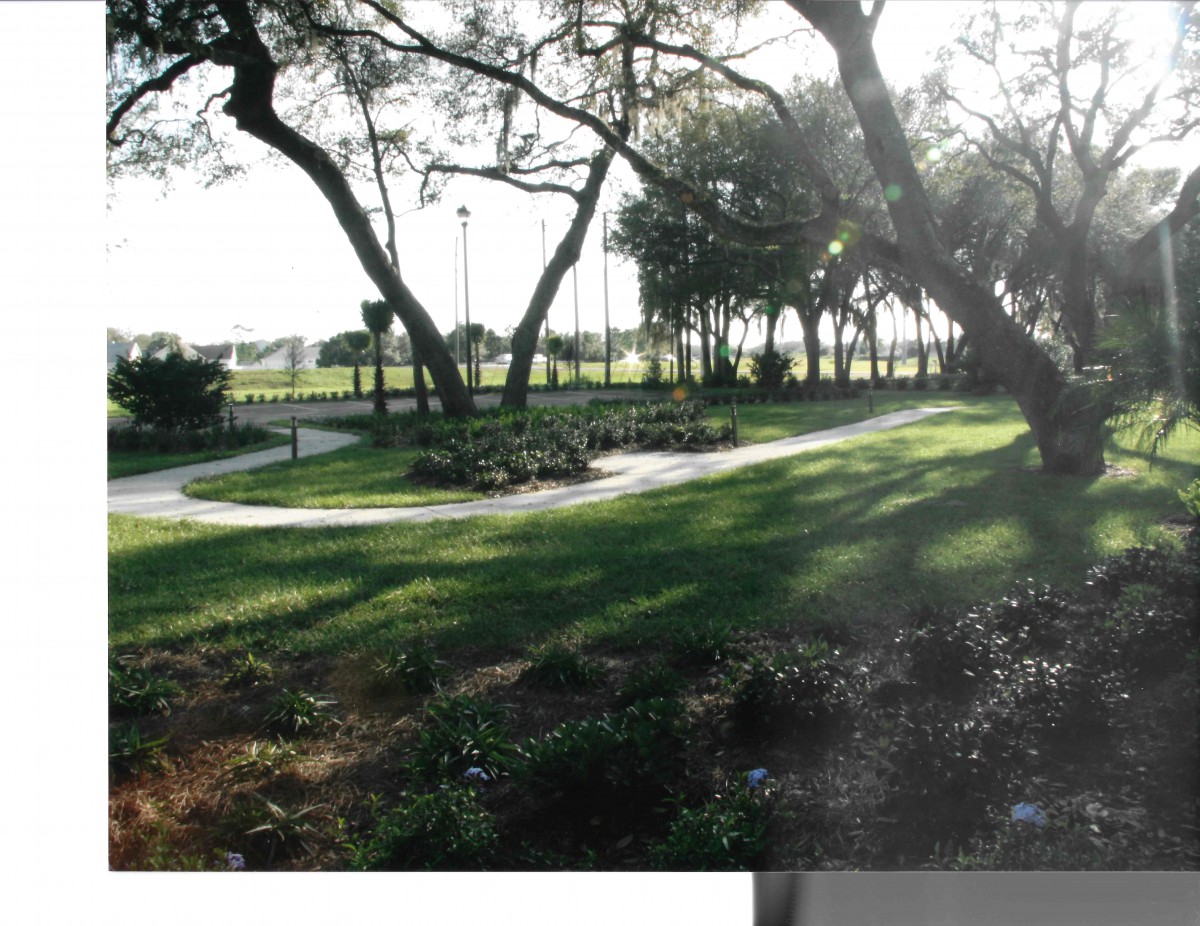 A serene park with a winding pathway, surrounded by trees and illuminated by sunlight.