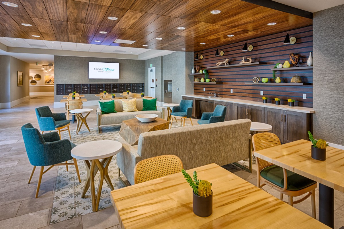 A modern lounge area with stylish seating and decorative plants.