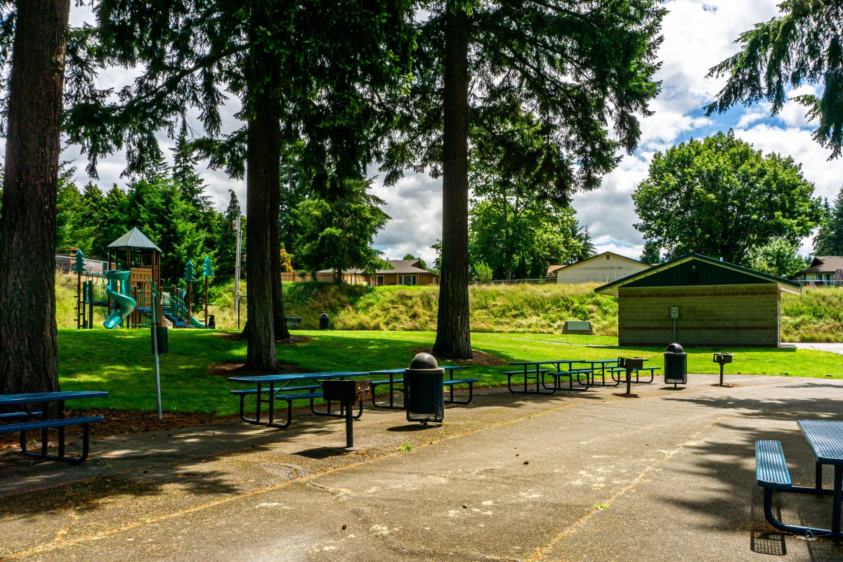 A peaceful park setting with benches and tall trees.
