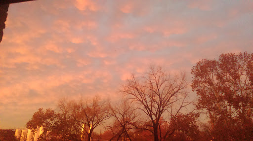 Trevecca Towers II