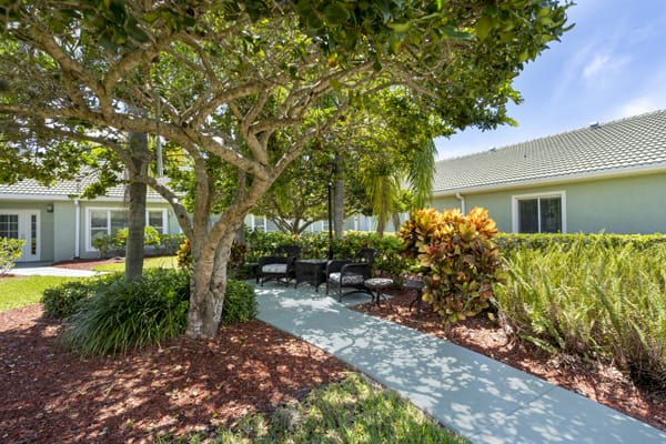 A serene garden with a pathway leading to outdoor seating, surrounded by trees and shrubs on a sunny day.