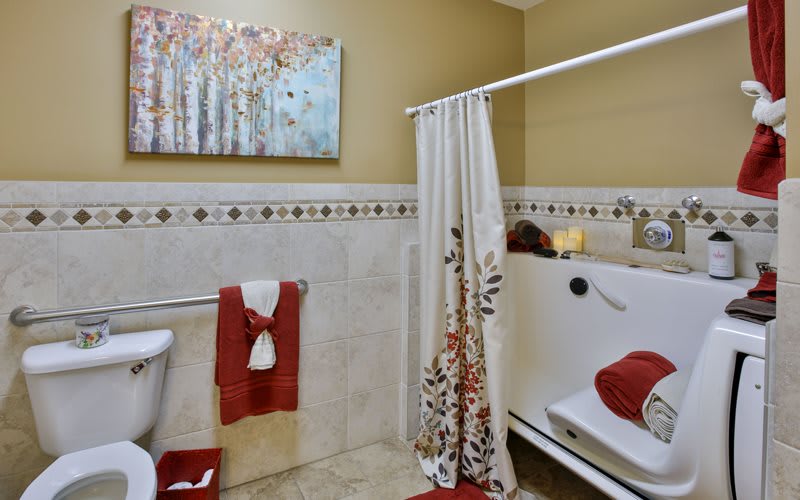 A well-decorated bathroom featuring a walk-in bathtub, decorative shower curtain, and neatly arranged towels with wall art.