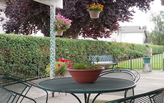A peaceful patio setting with a table, chairs, and surrounding greenery.