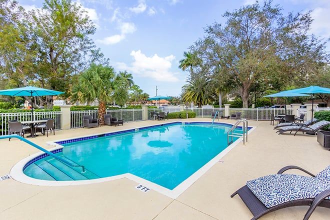 A serene outdoor pool surrounded by tropical trees, perfect for a relaxing vacation.