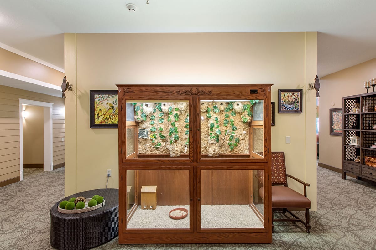 A well-decorated indoor space featuring a wooden display case with plants, accompanied by a chair and framed artwork on the walls.