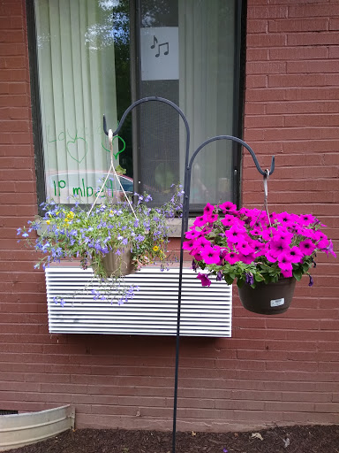 Colorful hanging planters brighten up a balcony with vibrant flowers.