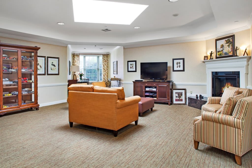 A bright and cozy living room with comfortable sofas, a television, and elegant decor.