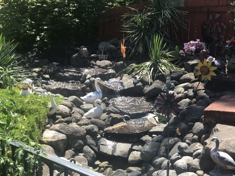 A serene garden fountain surrounded by rocks and greenery.