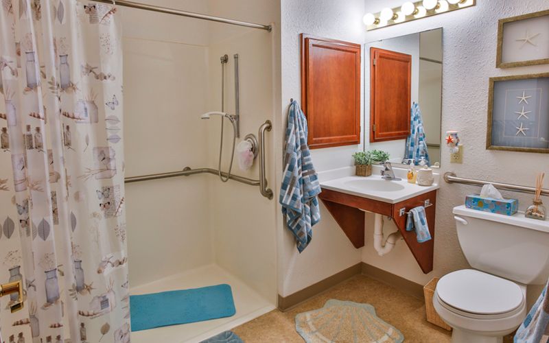An accessible bathroom with a walk-in shower, vanity sink, and decorative accents.