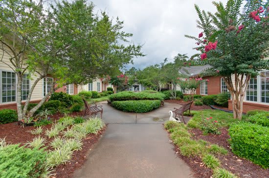 A landscaped garden with a circular path, benches, and lush greenery.