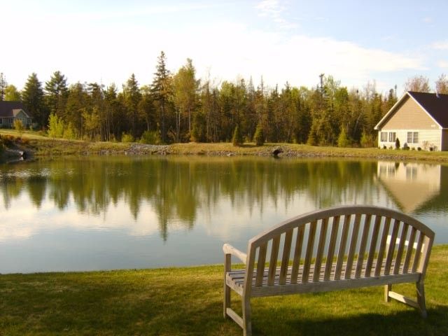 A peaceful lakeside scene with a bench overlooking the water, surrounded by trees and a house in the distance.