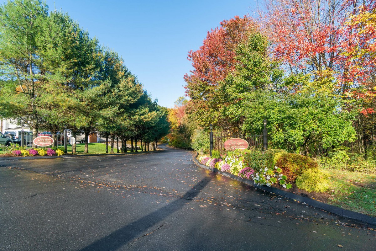 A scenic driveway lined with trees displaying vibrant autumn foliage.