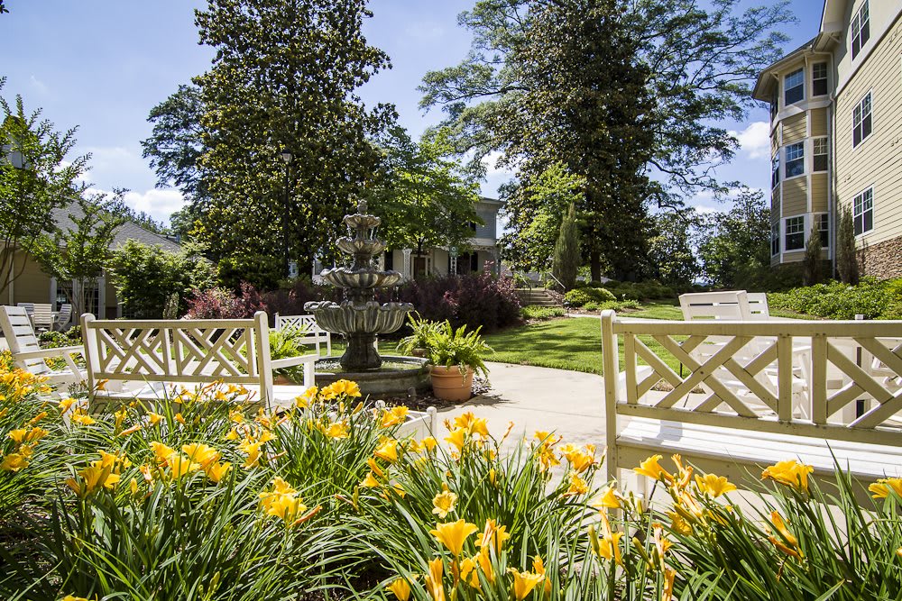 A tranquil garden scene featuring a fountain, surrounded by blooming yellow flowers and benches under a clear blue sky.