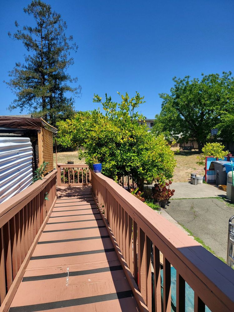 A sunny day view of a wooden deck with a railing, surrounded by trees and greenery.