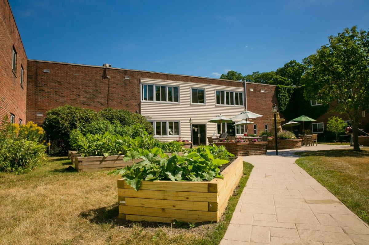 A sunny day at a building with a well-maintained vegetable garden featuring raised beds and a pathway.